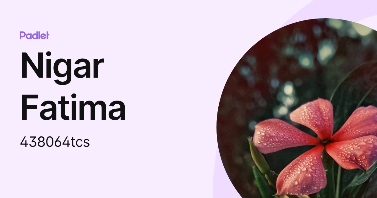 Nigar Fatima (438064tcs) profile | Padlet
