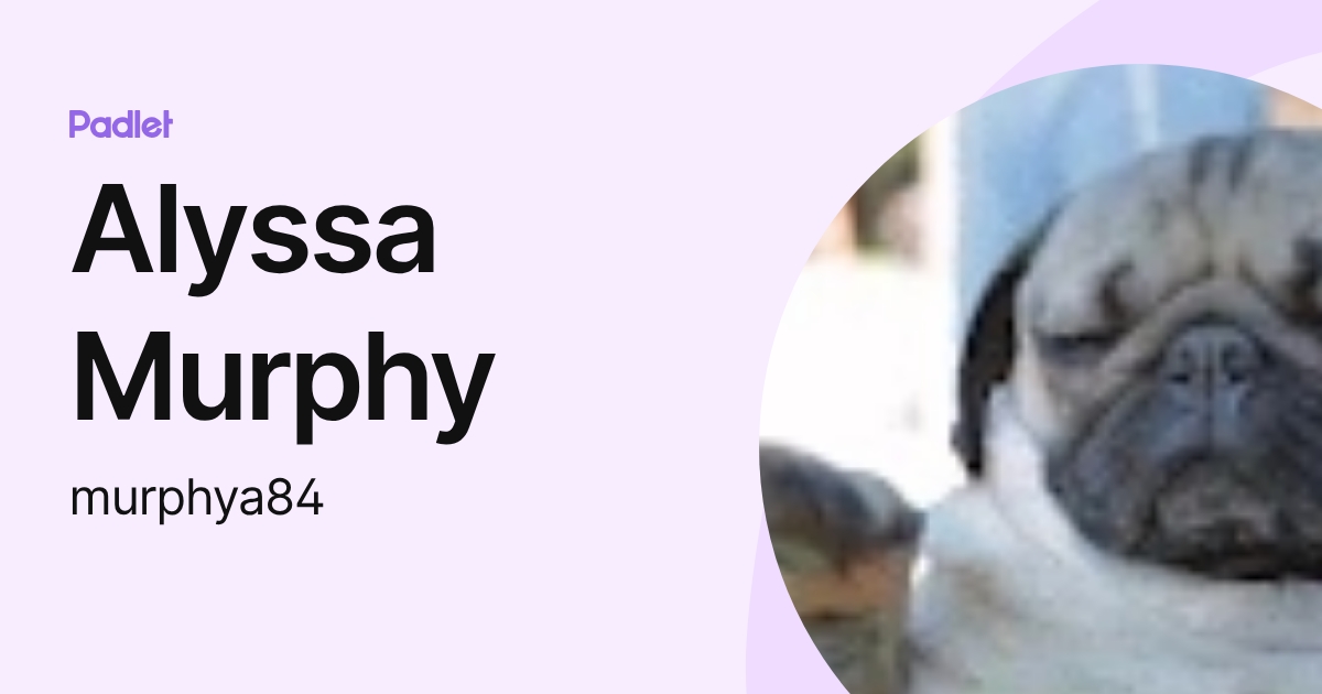 Alyssa Murphy (murphya84) profile | Padlet