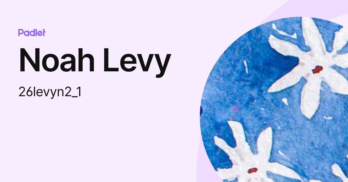 Noah Levy (26levyn2_1) profile | Padlet