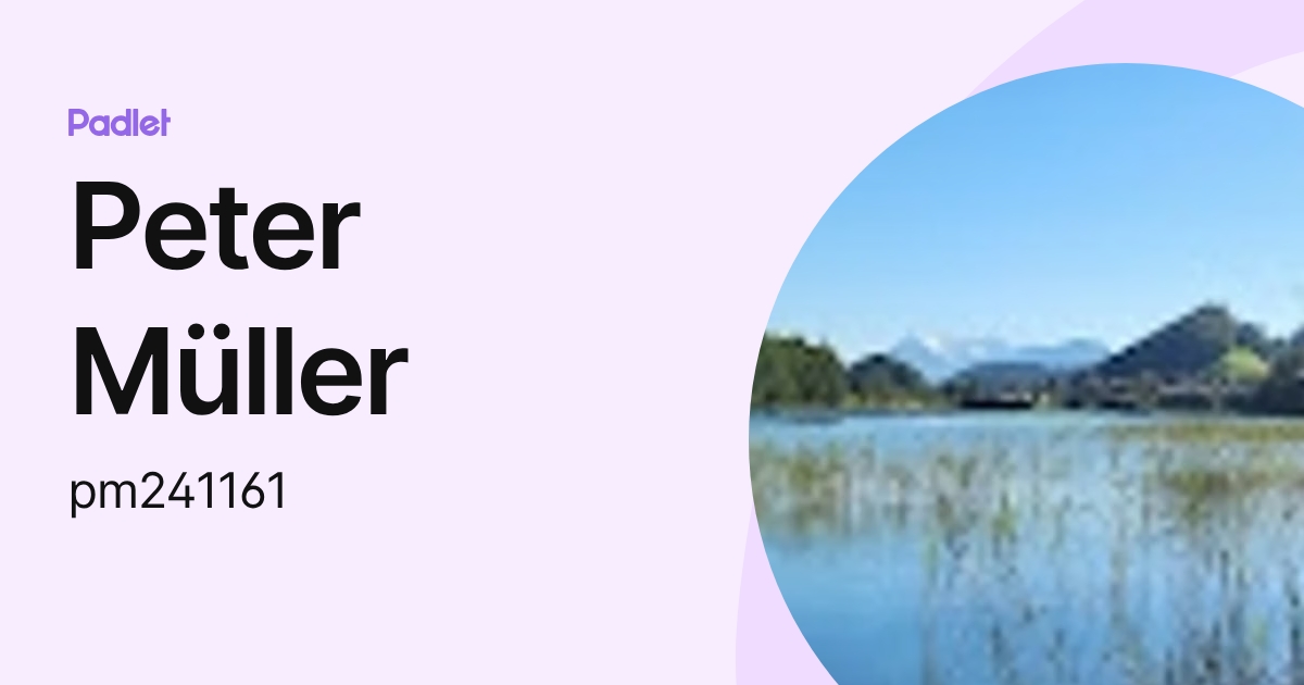 Peter Müller (pm241161) profile | Padlet