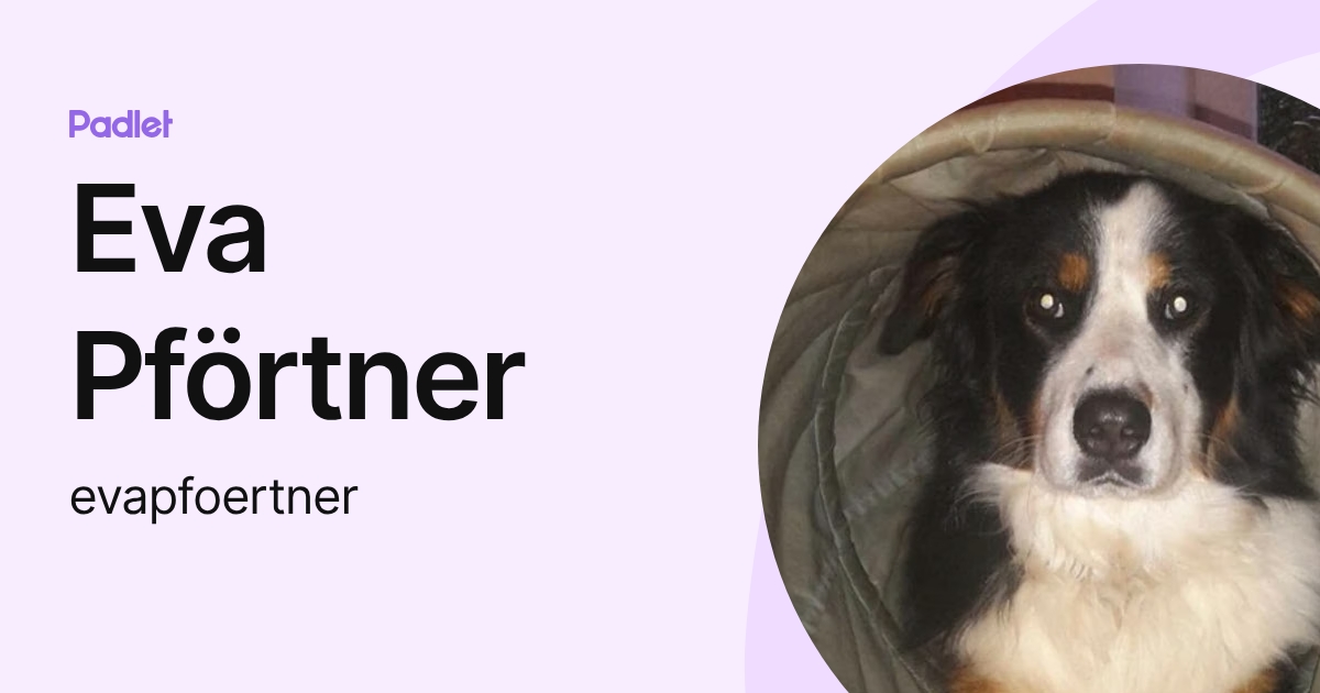 Eva Pförtner (evapfoertner) profile | Padlet