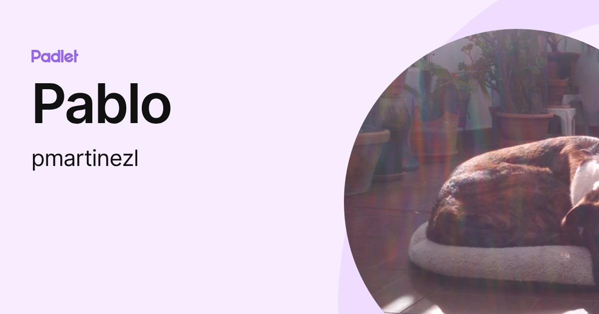 Pablo (pmartinezl) profile | Padlet