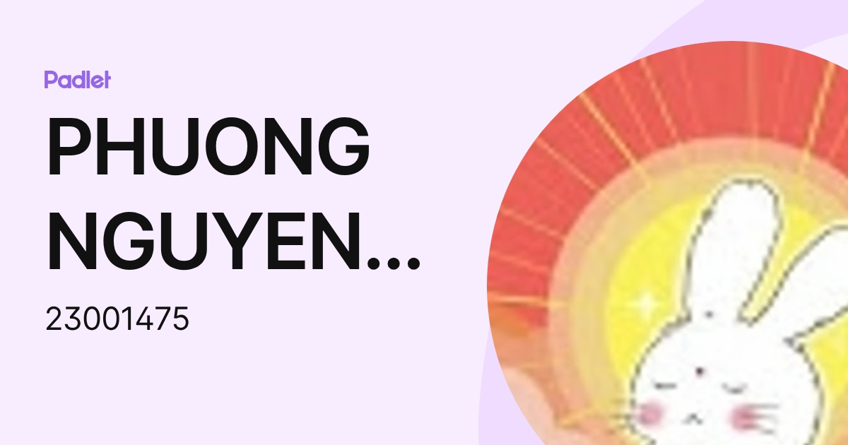 PHUONG NGUYEN THI THU (23001475) profile | Padlet