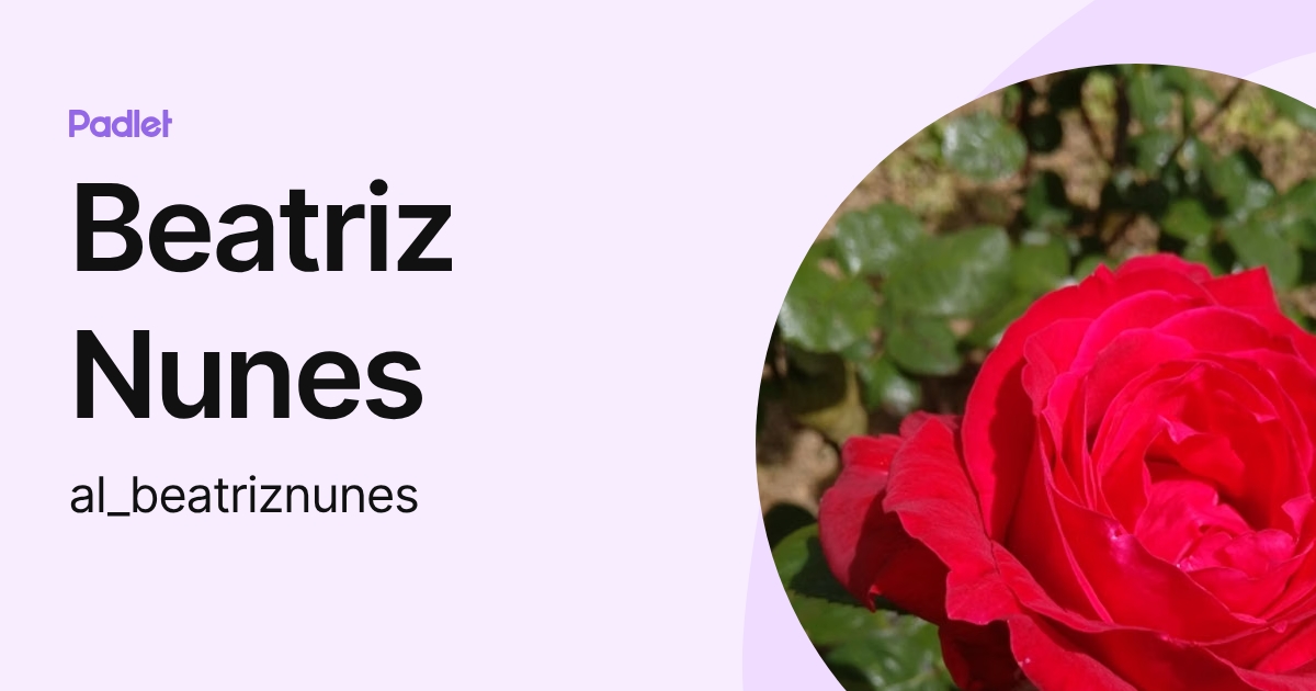 Beatriz Nunes (al_beatriznunes) profile | Padlet