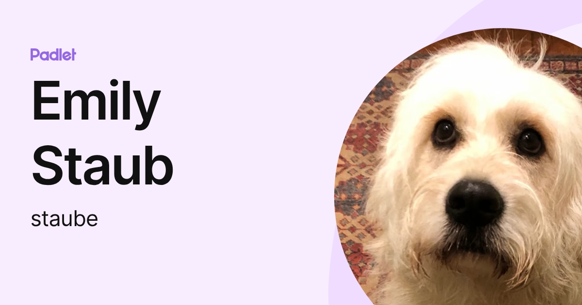 Emily Staub (staube) profile | Padlet