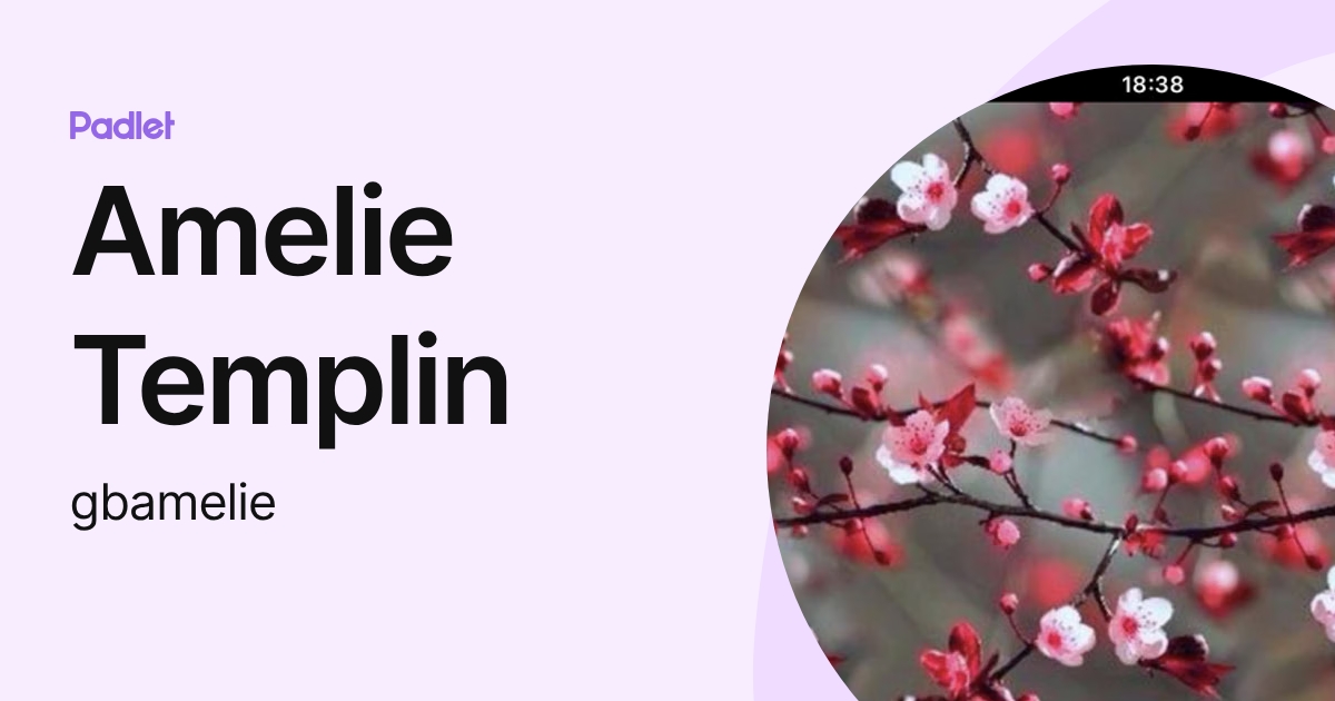 Amelie Templin (gbamelie) profile | Padlet