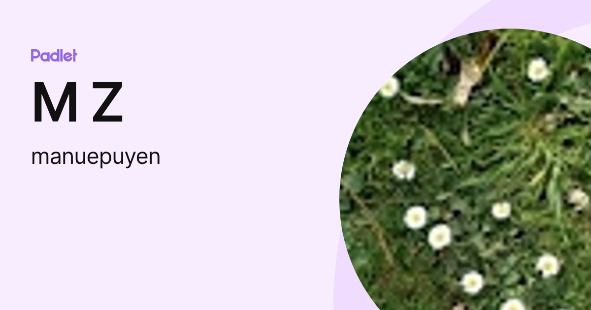 M Z (manuepuyen) profile | Padlet