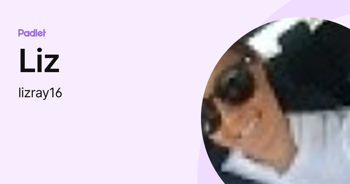 Liz (lizray16) profile | Padlet