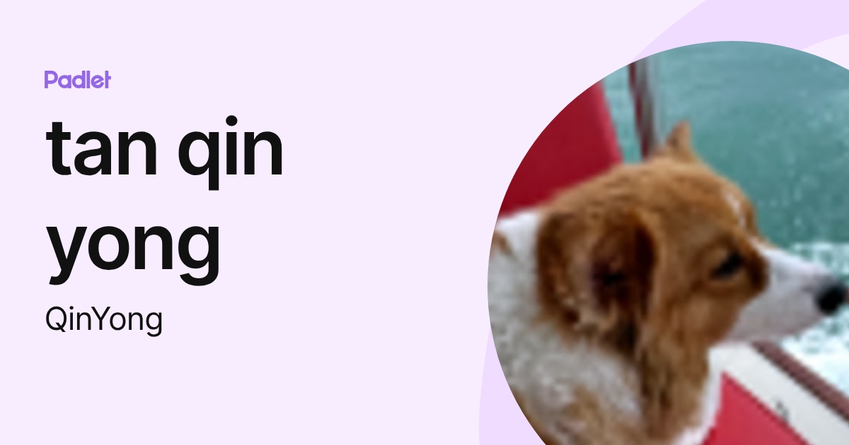 tan qin yong (QinYong) profile | Padlet