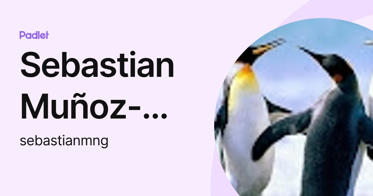 Sebastian Muñoz-Najar Galvez (sebastianmng) profile | Padlet