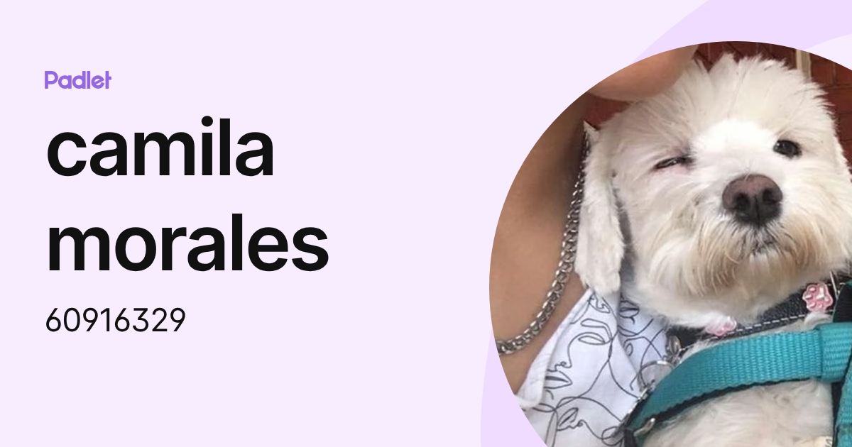 camila morales (60916329) profile | Padlet
