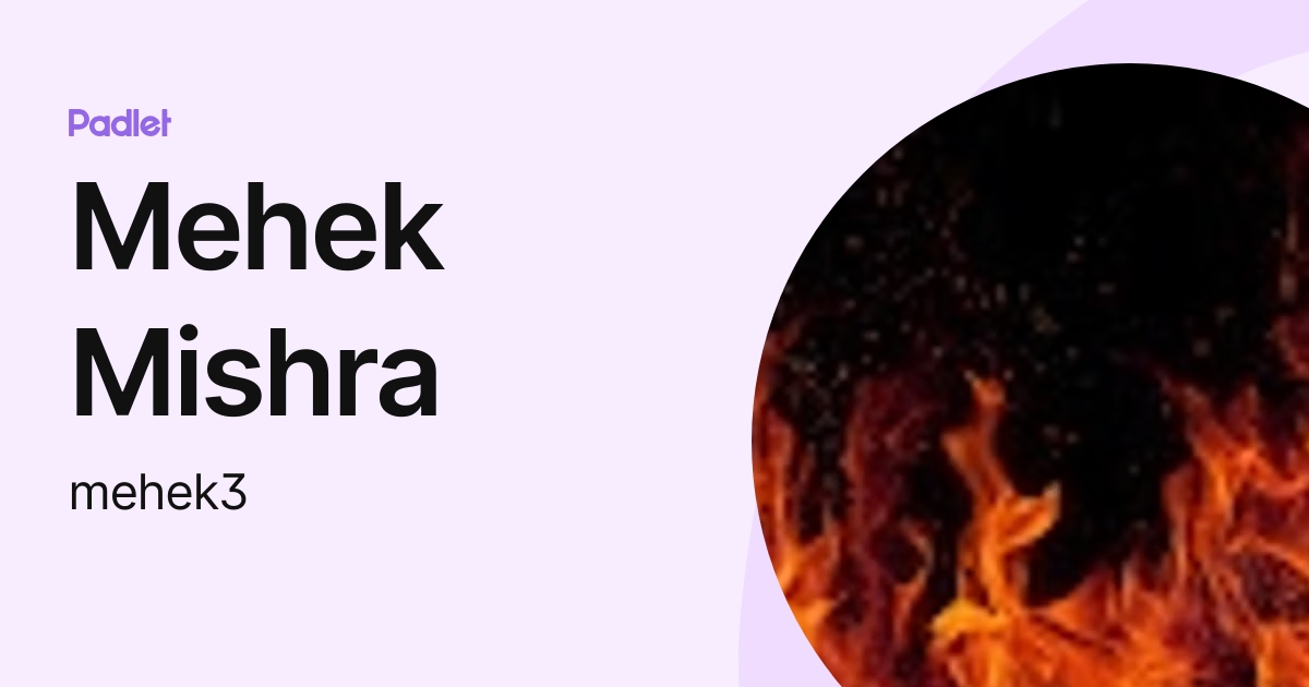 Mehek Mishra (mehek3) profile | Padlet