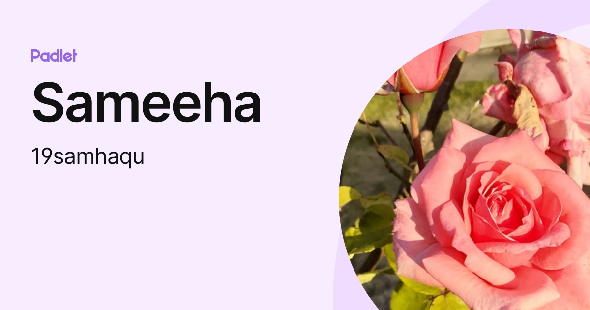 Sameeha (19samhaqu) profile | Padlet