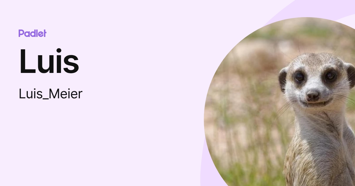 Luis (Luis_Meier) profile | Padlet