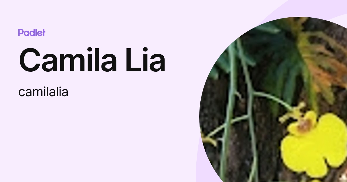 Camila Lia (camilalia) profile | Padlet