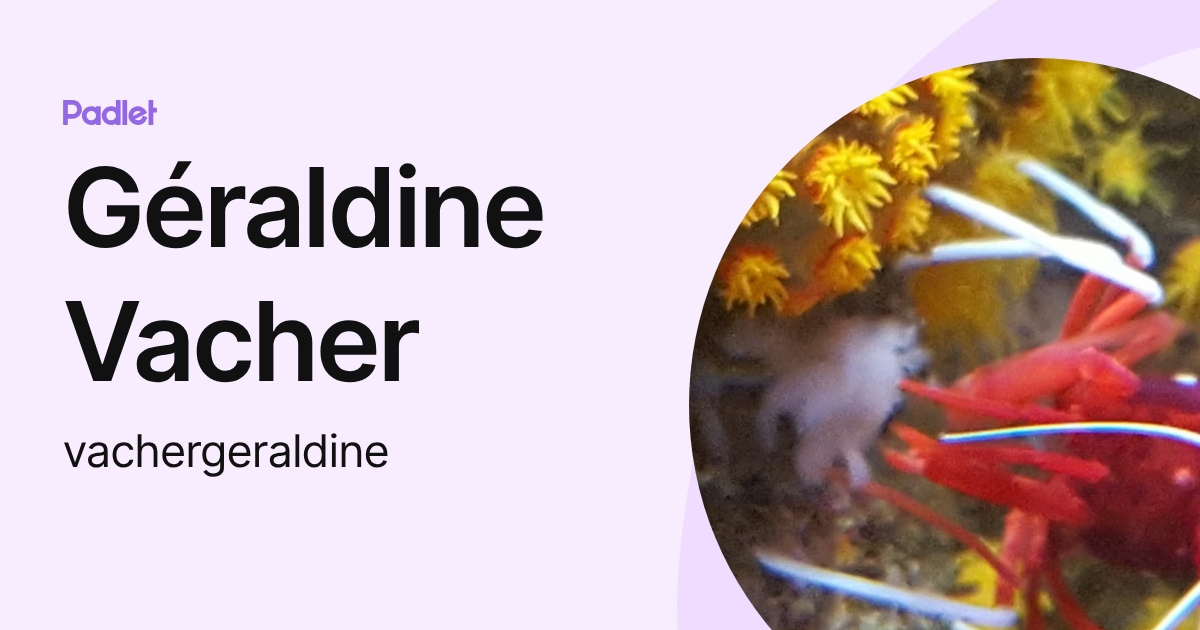 Géraldine Vacher (vachergeraldine) profile | Padlet