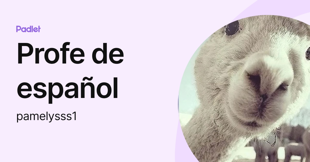 Profe de español (pamelysss1) profile | Padlet