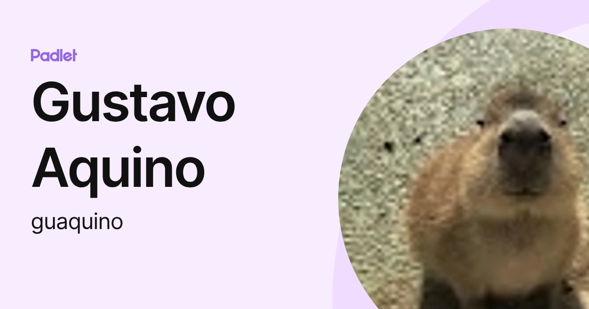 Gustavo Aquino (guaquino) profile | Padlet