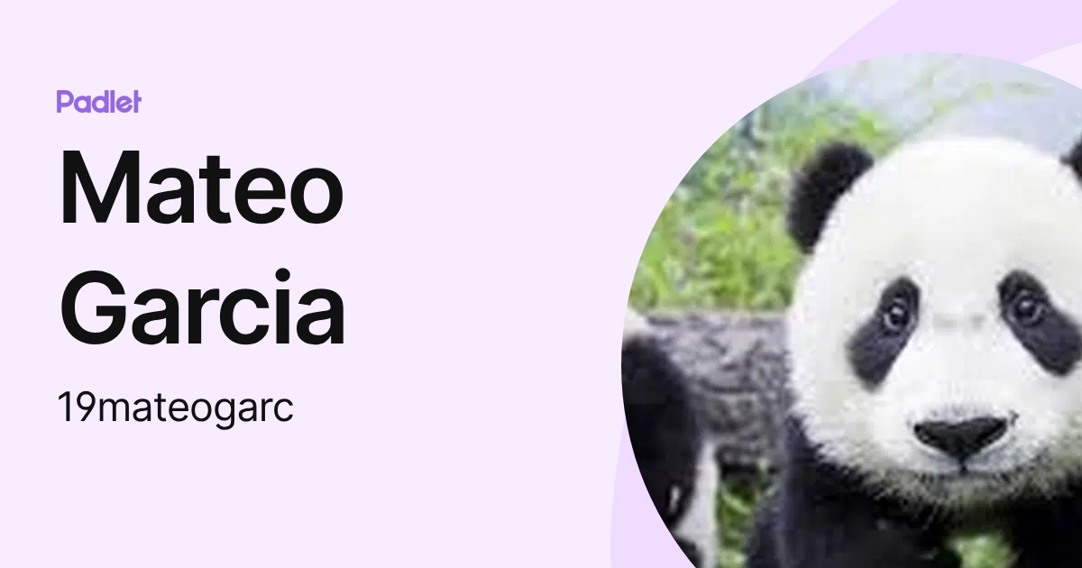 Mateo Garcia (19mateogarc) profile | Padlet