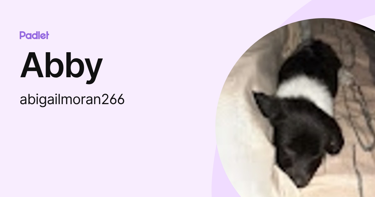 Abby (abigailmoran266) profile | Padlet