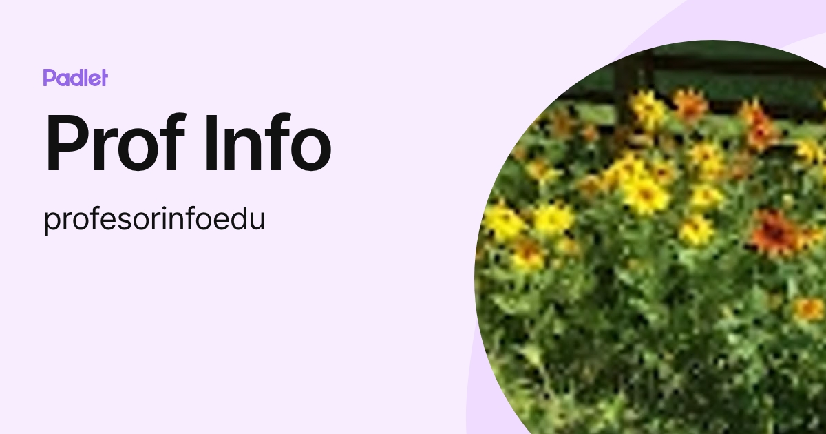 Prof Info (profesorinfoedu) profile | Padlet