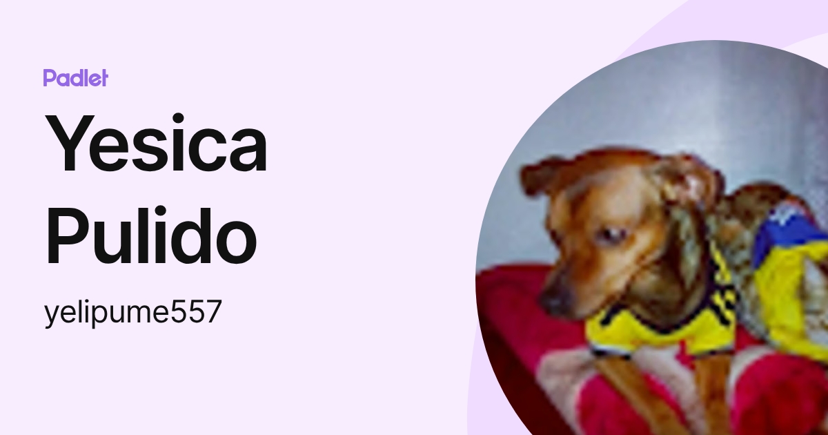 Yesica Pulido (yelipume557) profile | Padlet