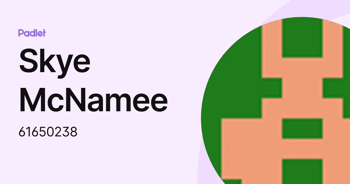 Skye McNamee (61650238) profile | Padlet