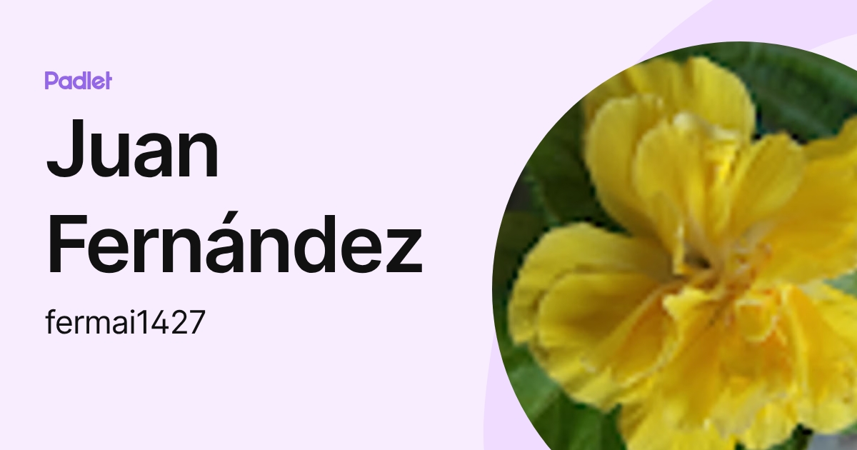 Juan Fernández (fermai1427) profile | Padlet