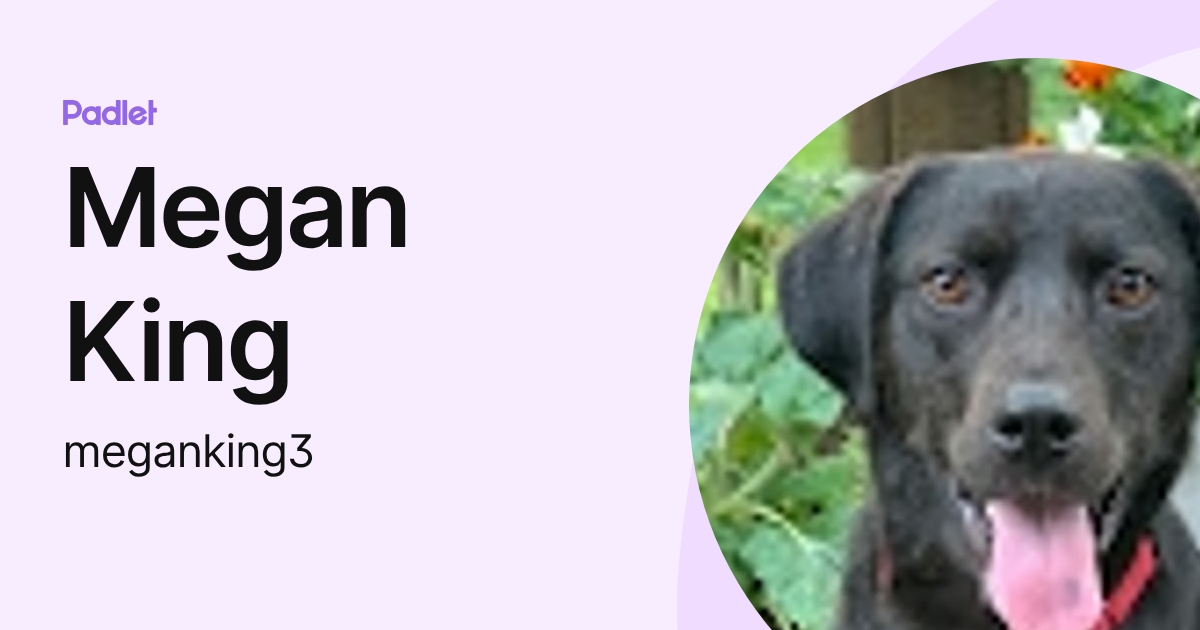 MEGAN KING (meganking4) profile | Padlet