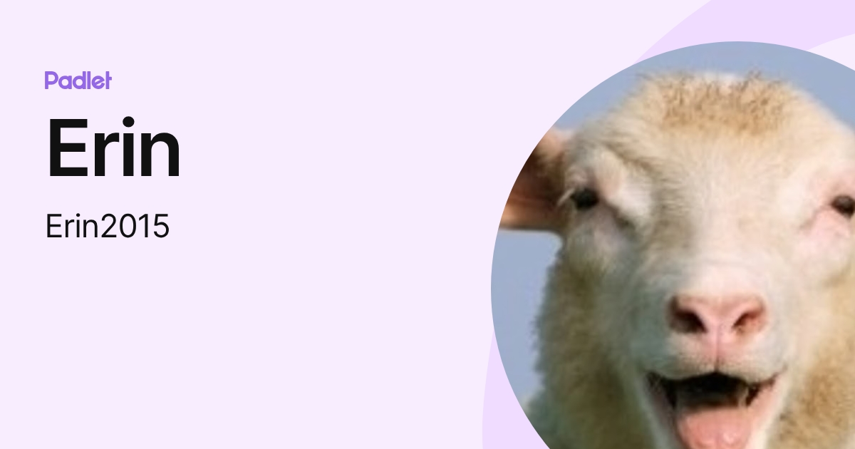 Erin (Erin2015) profile | Padlet