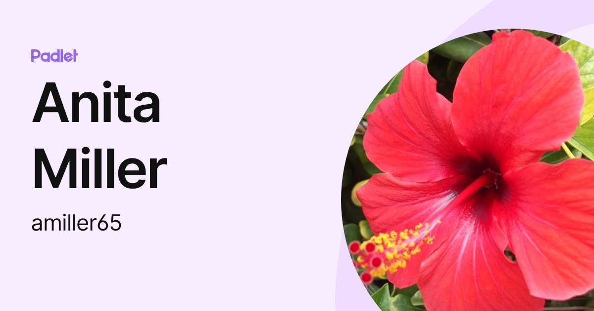 Anita Miller (amiller65) profile | Padlet
