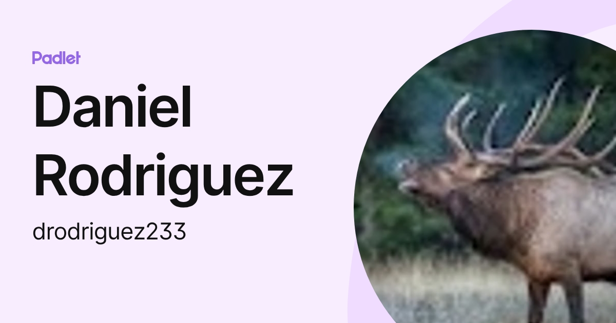 Daniel Rodriguez (drodriguez233) profile | Padlet