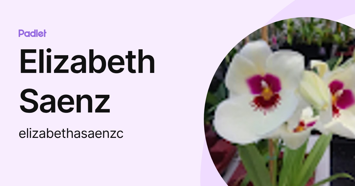 Elizabeth Saenz (elizabethasaenzc) profile | Padlet