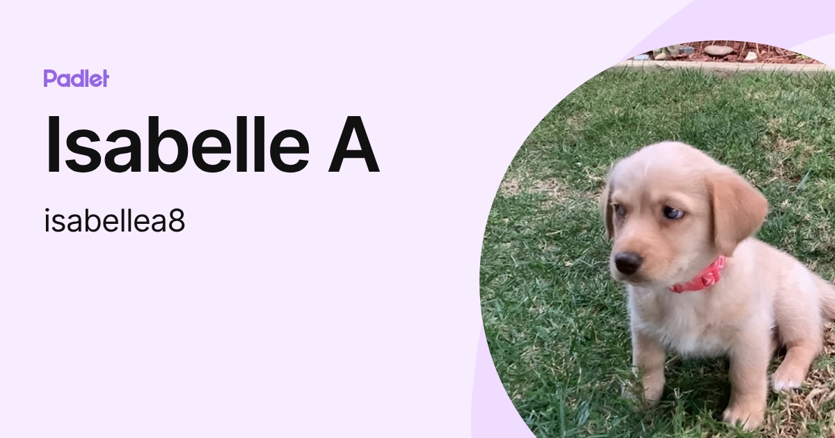 Isabelle A (isabellea8) profile | Padlet