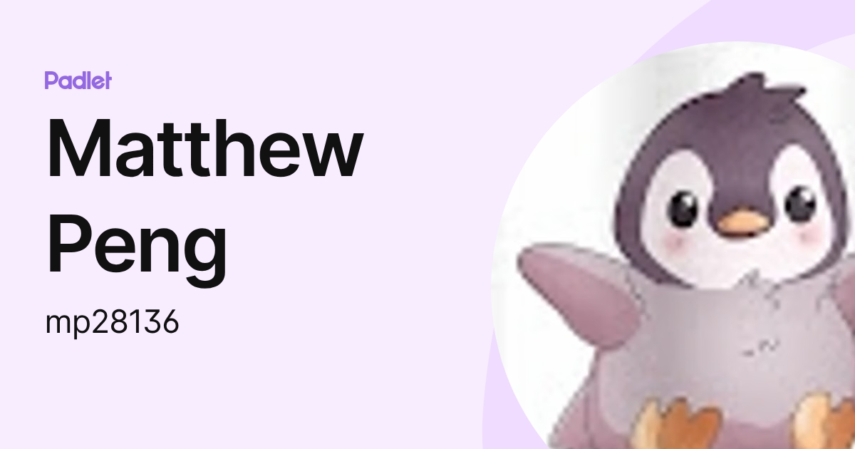Matthew Peng (mp28136) profile | Padlet