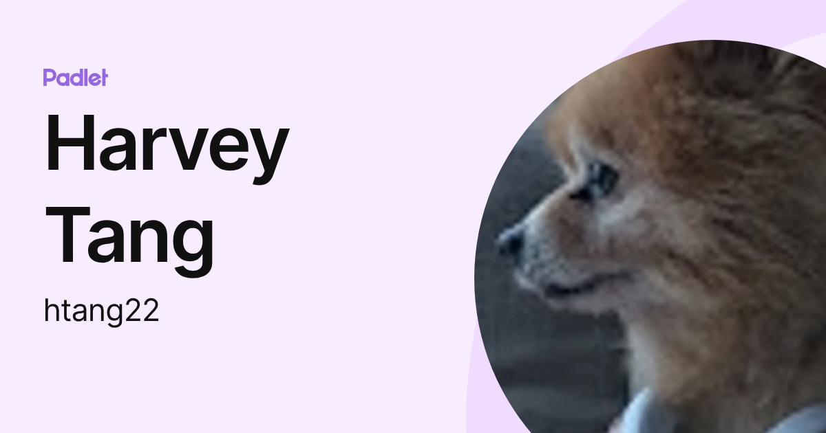Harvey Tang (htang22) profile | Padlet