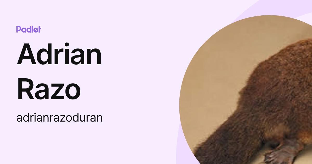 Adrian Razo (adrianrazoduran) profile | Padlet