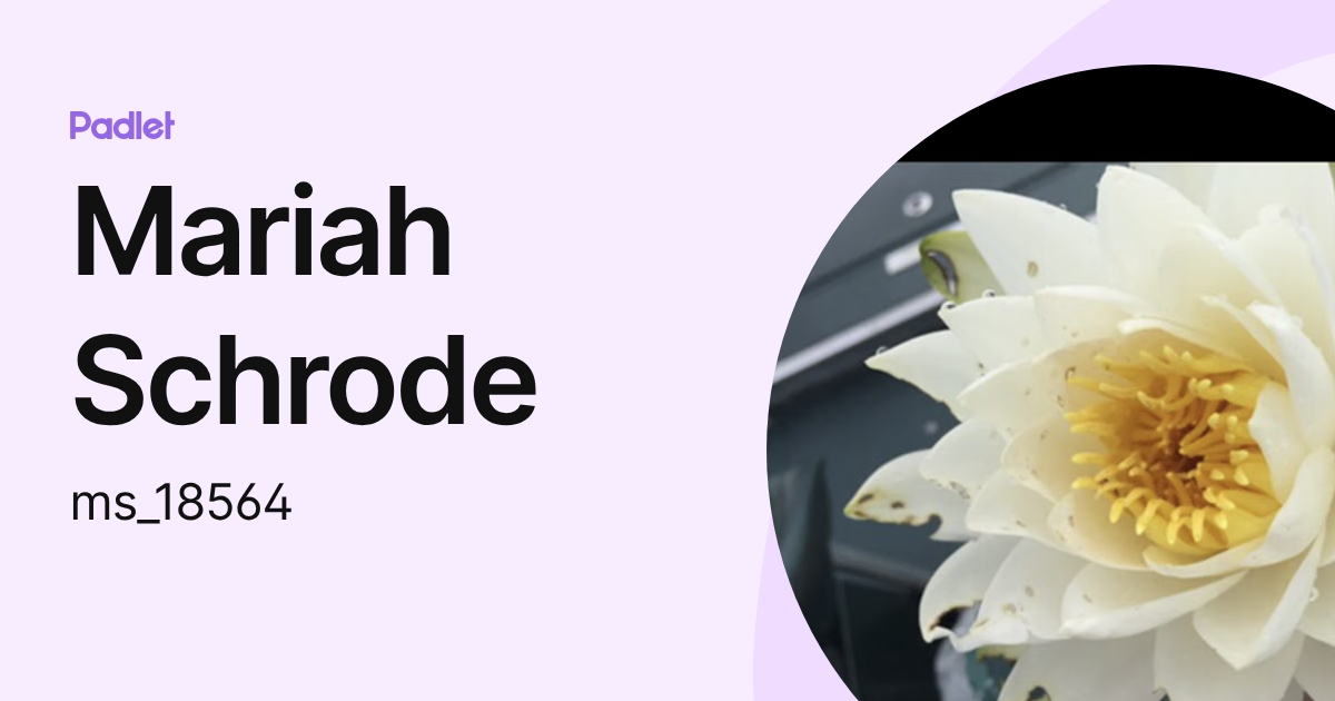 Mariah Schrode (ms_18564) profile | Padlet