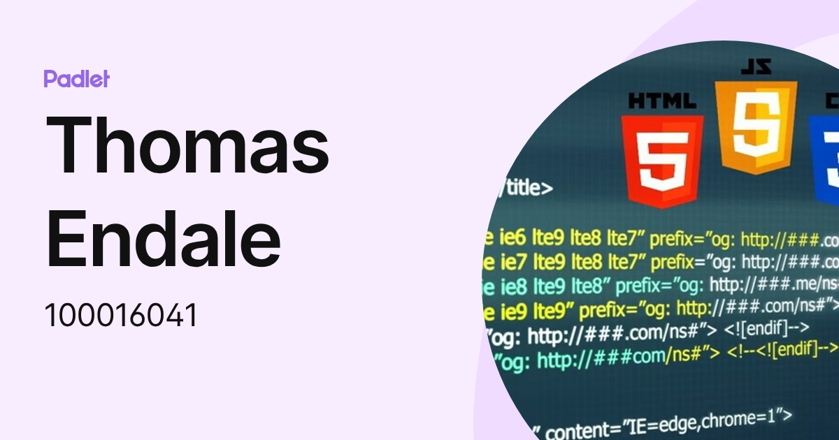 Thomas Endale (100016041) profile | Padlet