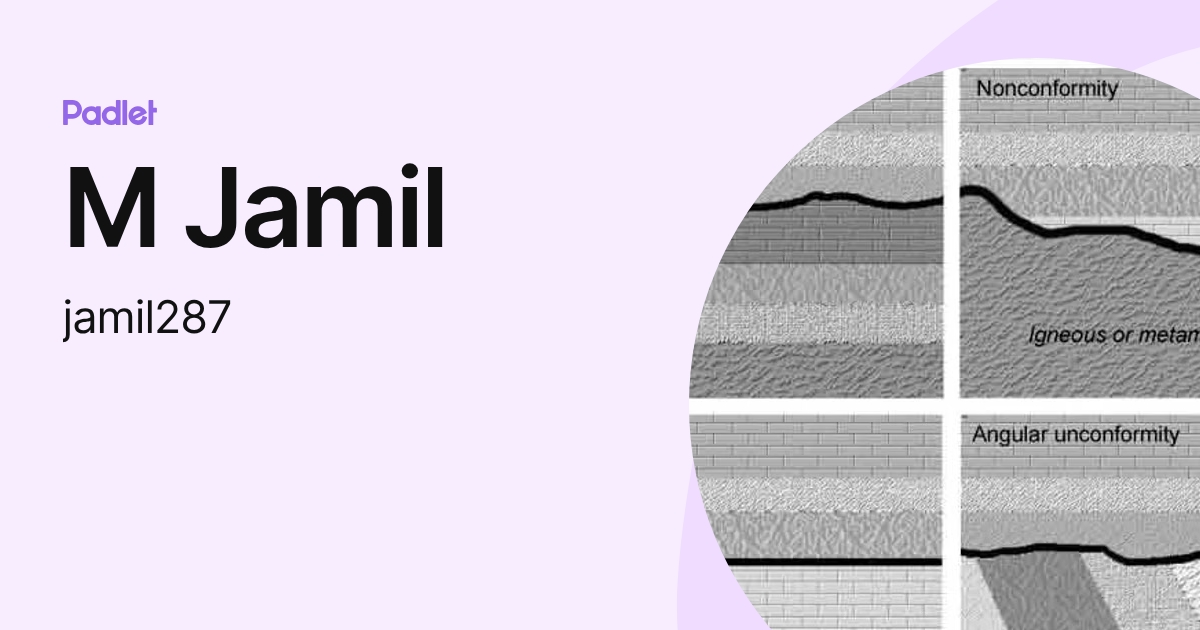 M Jamil (jamil287) profile | Padlet