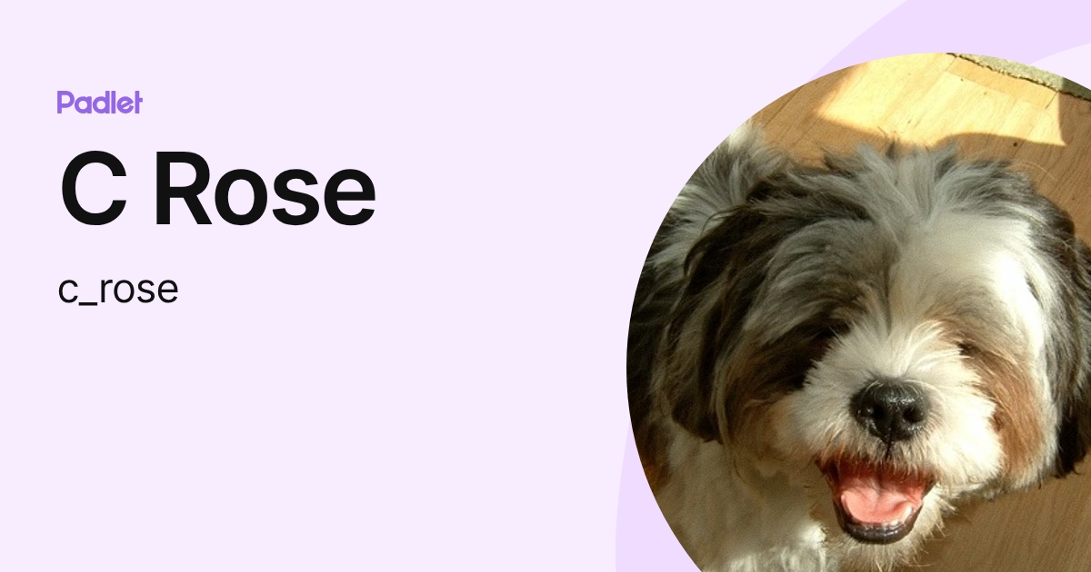 C Rose (c_rose) profile | Padlet