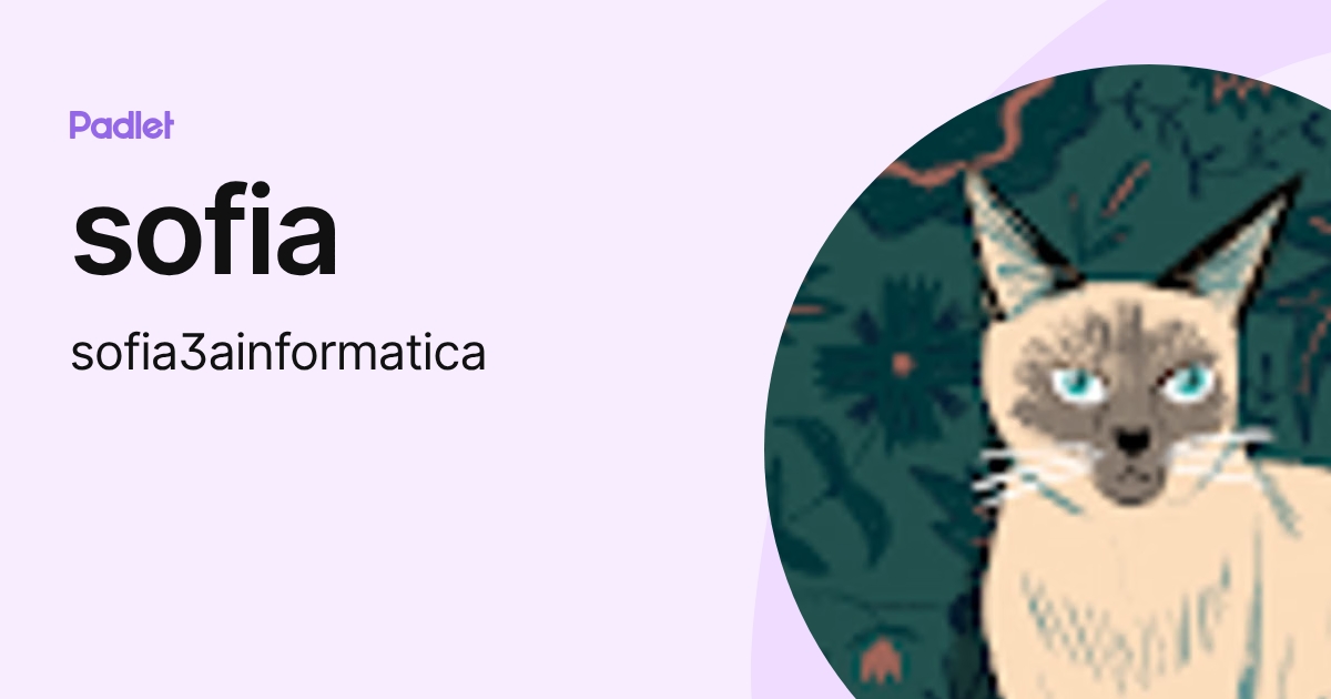 sofia (sofia3ainformatica) profile | Padlet