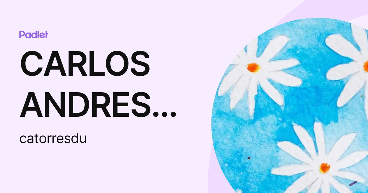 CARLOS ANDRES TORRES DUARTE (catorresdu) profile | Padlet