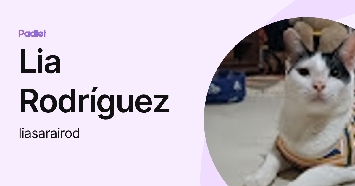 Lia Rodríguez (liasarairod) profile | Padlet
