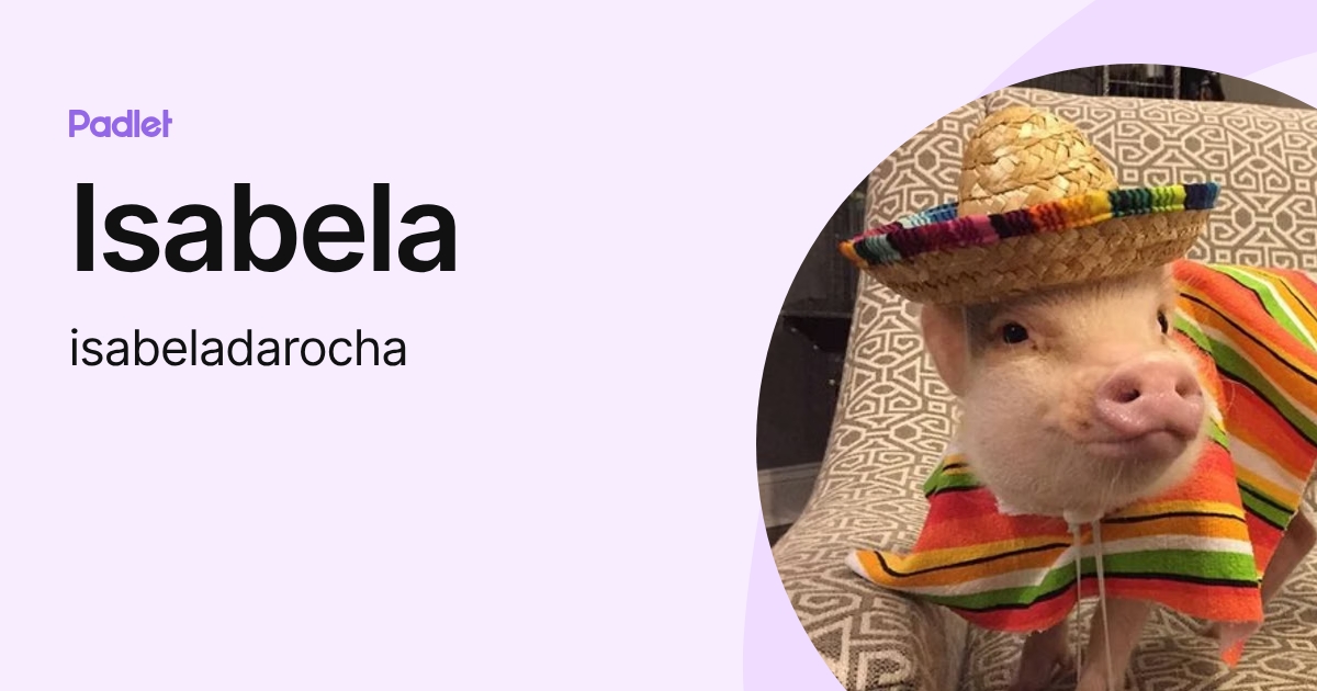 Isabela (isabeladarocha) profile | Padlet