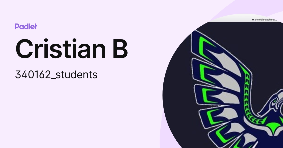 Cristian B (340162_students) profile | Padlet