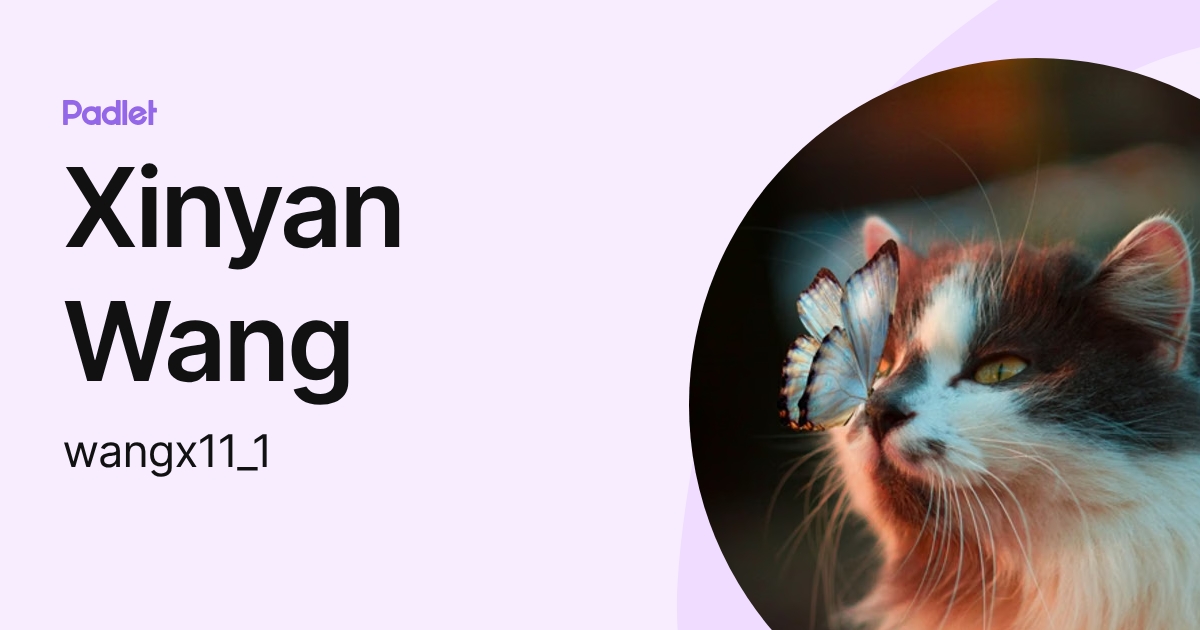 Xinyan Wang (wangx11_1) profile | Padlet