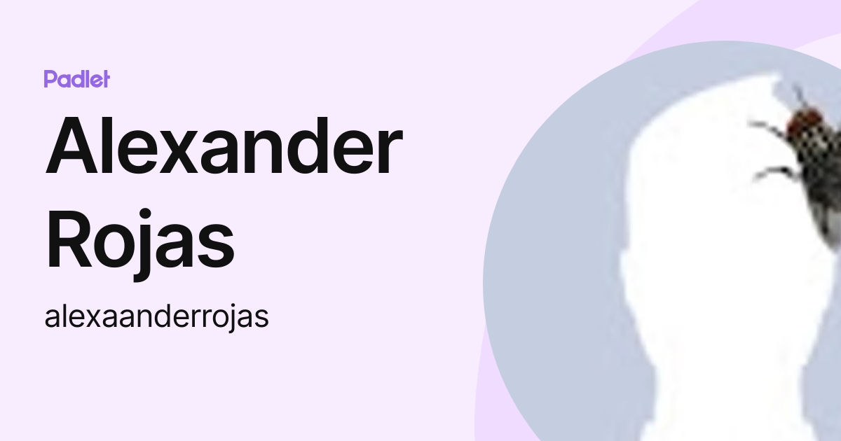Alexander Rojas (alexaanderrojas) profile | Padlet