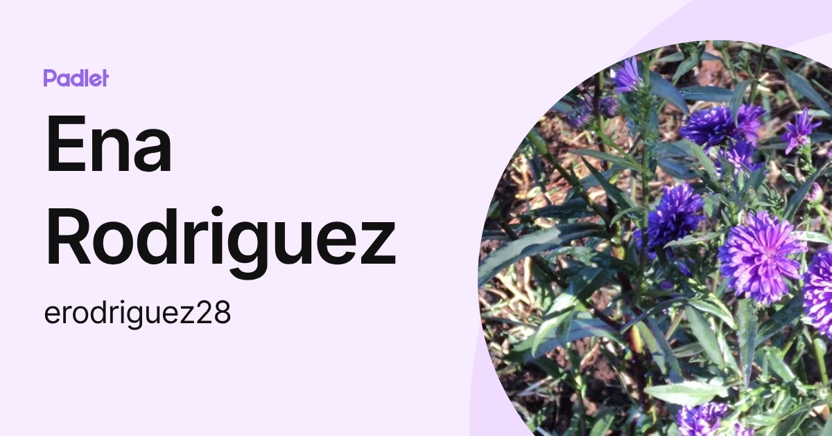 Ena Rodriguez (erodriguez28) profile | Padlet