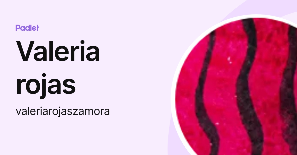 Valeria rojas (valeriarojaszamora) profile | Padlet